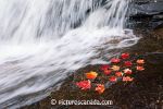 mauricie-015